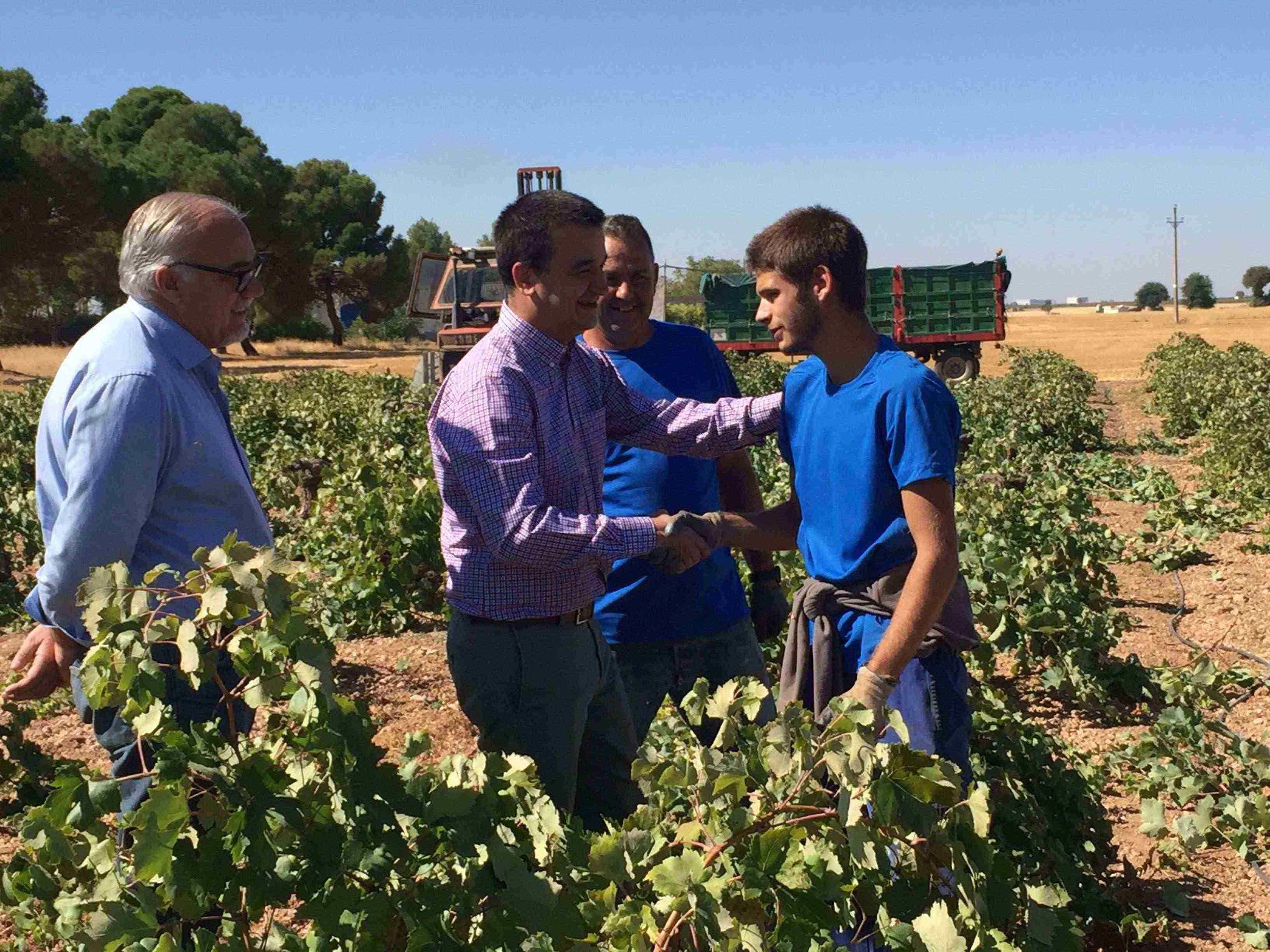 martinez-arroyo-en-la-vendimia
