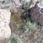 agua sierras herencia 12 150x150 - Fotogalería Sierra de las tres fuentes en Herncia