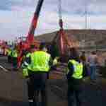 accidente a 30 elefantes 10 150x150 - Un elefante muerto en un accidente en la A-30 en Albacete