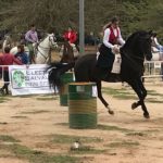 liga social equitacion 2018 herencia ciudad real 24 150x150 - Fotogalería de la 2ª Liga Social de Equitación en Herencia