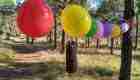 0e806077-60d0-47e2-a87c-2ea8f111edb8