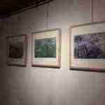 Patrimonio natural entorno y paraje de Herencia de la mano de Jesus Gomez 0009 150x150 - Inauguración de la exposición Patrimonio natural, entorno y paraje de Herencia