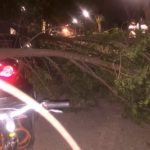 caida de arboles por fuerte viento en herencia1 150x150 - Fuertes rachas de viento provocan la caída de troncos y ramas