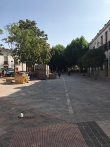 obras avenida y plaza cervantes en herencia fotos dcarrero herencia net 24 225x300 - La nueva Plaza Cervantes de Herencia pronto finalizará sus obras