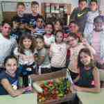 Desayuno saludable en el CEIP Carrasco Alcalde desayuno saludable ceip carrasco alcalde de herencia1 150x150 - Desayuno saludable en el CEIP Carrasco Alcalde