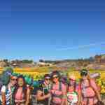 Herencia campa2019 17 150x150 - Los scouts de «La Inmaculada» de Herencia en verano