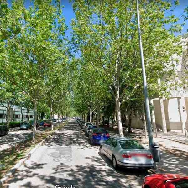 La UCLM firma un convenio de colaboración con el Ayuntamiento de Ciudad Real para que se pueda llevar a cabo la reurbanización “valiente y sostenible” de la Avenida Camilo José Cela, que cuenta con una inversión de 4.700.000 euros