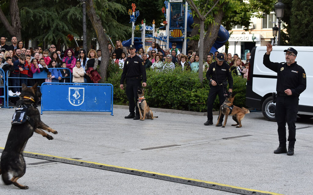 La Policía Nacional comparte el adiestramiento de guías caninos en el día del Santo Voto