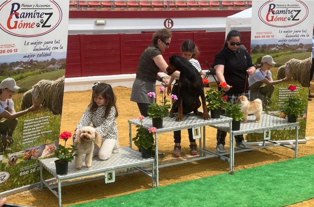 Un total de 56 canes participan en el I Concurso nacional canino Ciudad de Puertollano