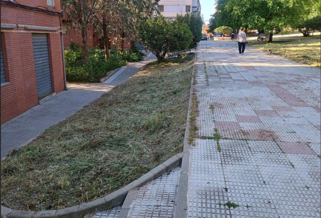 Los trabajos de desbroce avanzan a buen ritmo en toda la ciudad y su periferia
